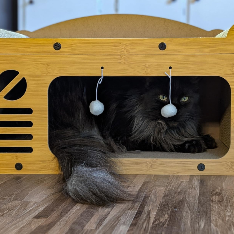 Extra-Large Cardboard Cat House