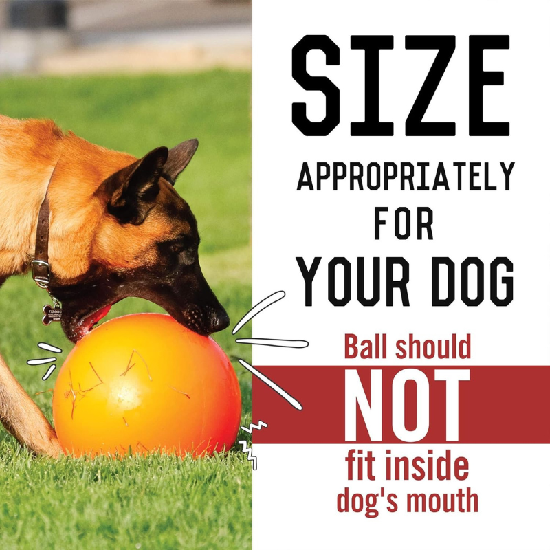 Indestructible Dog Ball 10-Inch