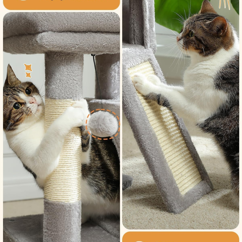 Road Cat Tower Dual
