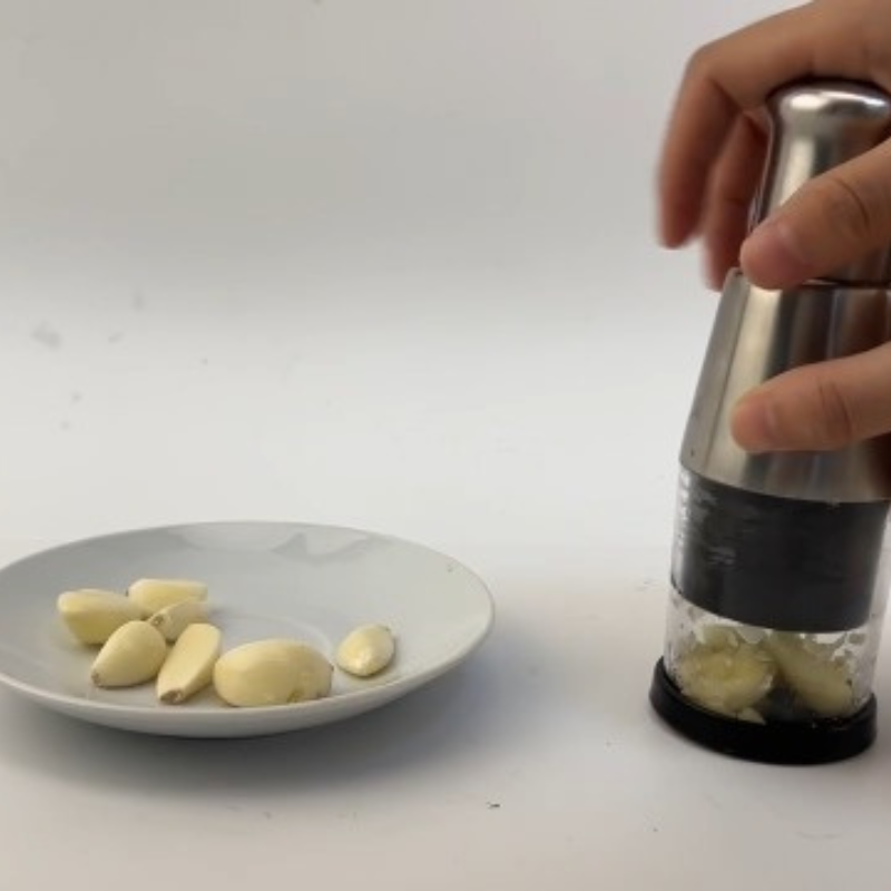 Stainless Garlic Press Chopper